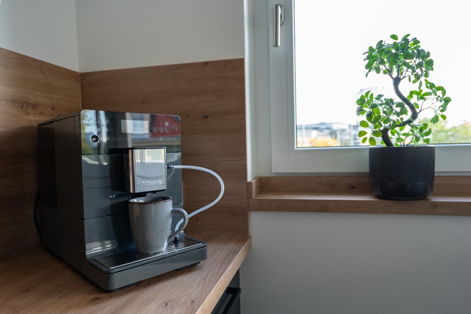 דרזדן Cozy City Dream Apartment Mit Terrasse Und Parkplatz - 90M² מראה חיצוני תמונה